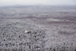 Тихо, снежно, бескрайне ― с вертолета лес напоминает заколдованное зимнее царство