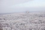 Спрятанные под белым инеем, деревья напоминают бесчисленное войско русских богатырей