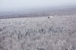 Фотографии зимнего Урала: вид с высоты полета|Треугольные верхушки елок выделяются на фоне сглаженных контуров лиственных деревьев