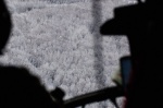 Фотографии зимнего Урала: вид с высоты полета|Когда сидишь в кабине вертолета, тысячи деревьев сливаются в белоснежный лесной ковер 
