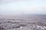 Фотографии зимнего Урала: вид с высоты полета|Вдаль простираются безмолвные уральские просторы, поросшие диким лесом