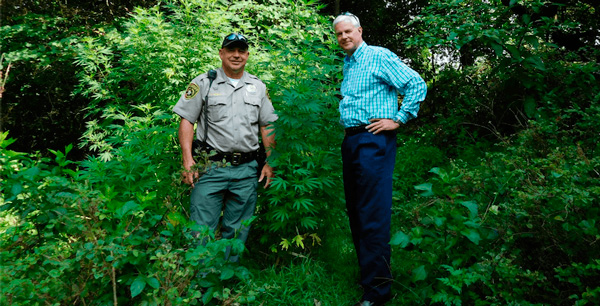 Конгрессмен Стив Вомак (справа) лично участвовал в поиске и уничтожении плантации конопли в Арканзасе