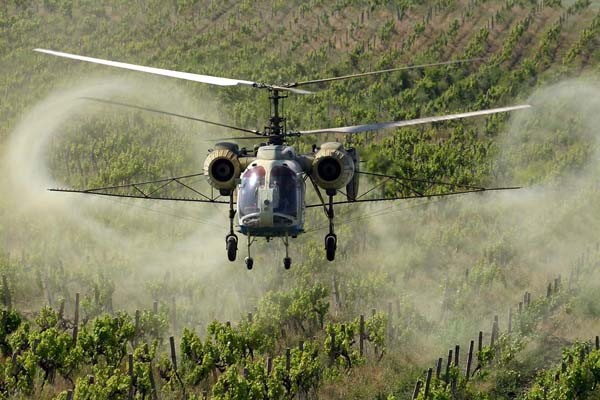 Применение вертолетов на полях экономит время и трудозатраты